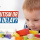 Autism or Speech Delay